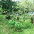 america-holland-panama-tribu-036.jpg