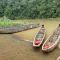 america-holland-panama-tribu-069.jpg