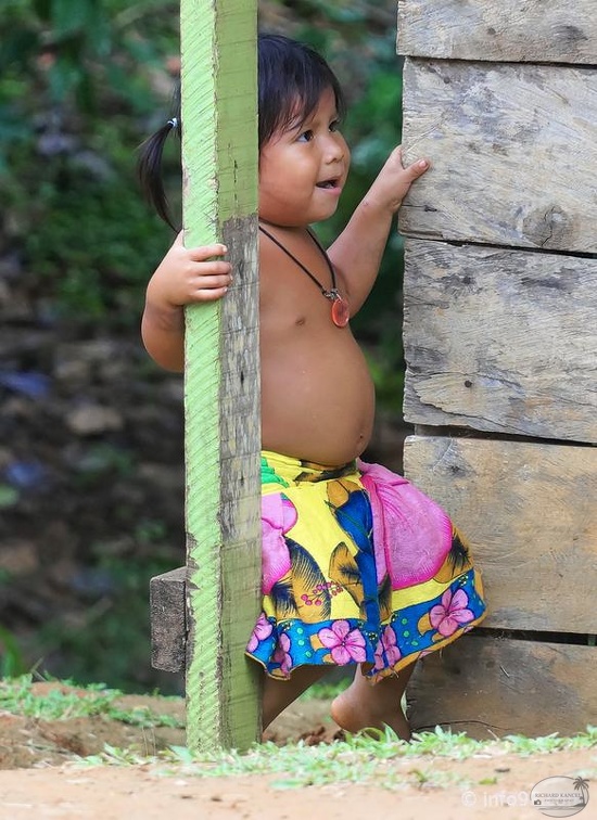 america-holland-panama-tribu-132.jpg