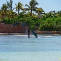 bahamas-atlantis-nassau070.jpg