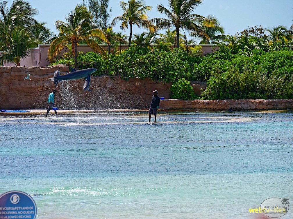 bahamas-atlantis-nassau071.jpg