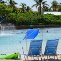 bahamas-atlantis-nassau085.jpg