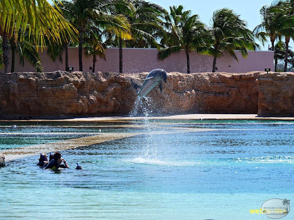 bahamas-atlantis-nassau089.jpg