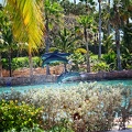 bahamas-atlantis-nassau091.jpg