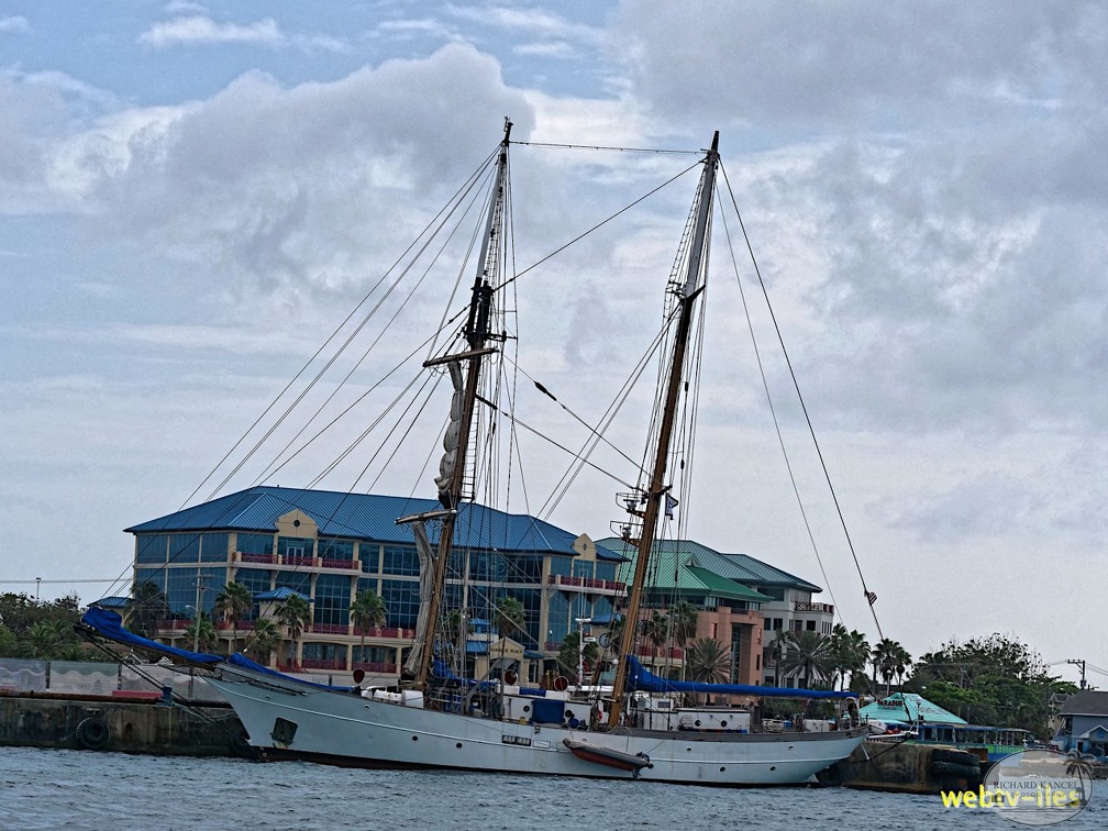boat-caiman139.jpg
