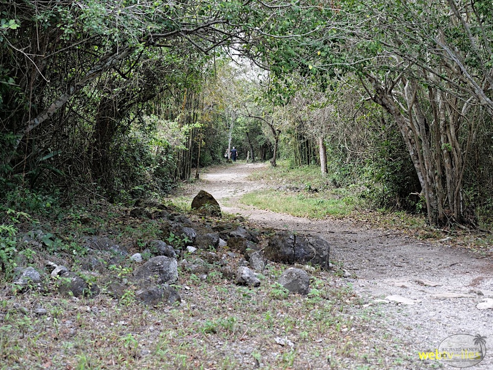 cozumel-mexique165.jpg