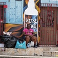 jamaique-falls258.jpg
