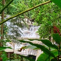 jamaique-falls273.jpg