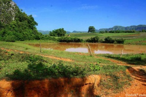 DSC08145vinales-vallee