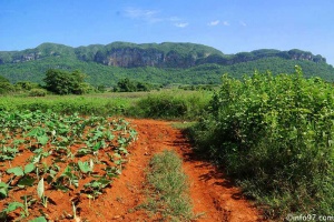 DSC08180vinales-vallee