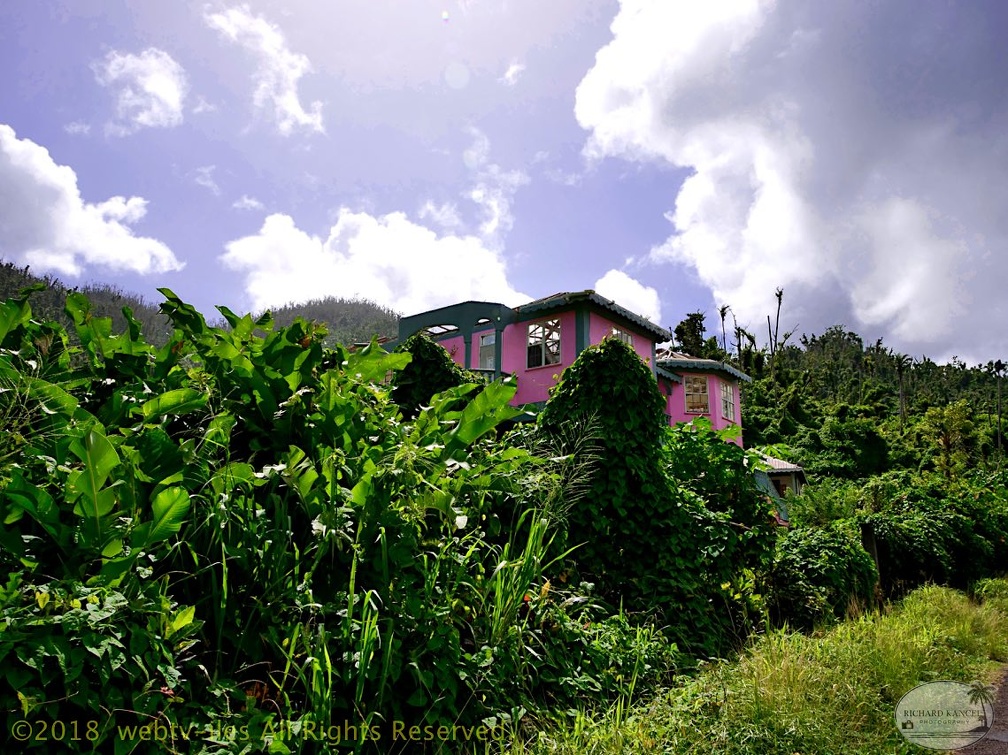 P1034996dominica-j1..jpg