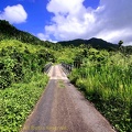 P1034998dominica-j1..jpg