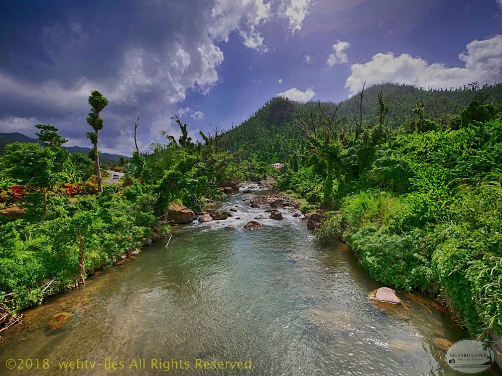P1035000dominica-j1..jpg