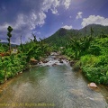 P1035000dominica-j1..jpg