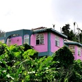 P1035005dominica-j1..jpg