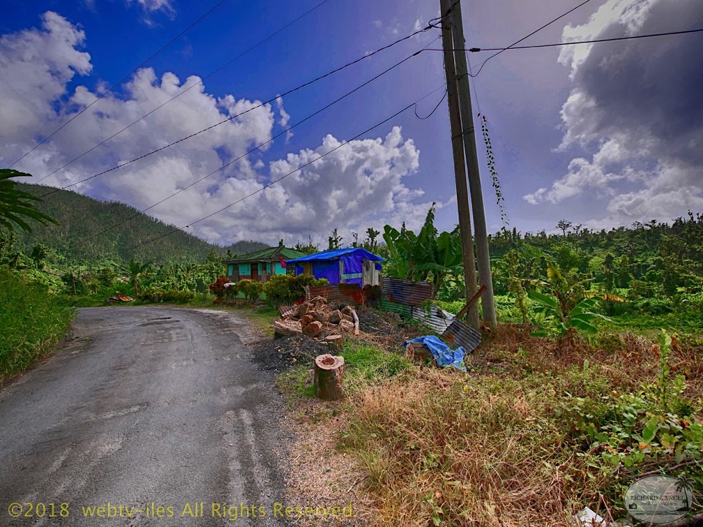 P1035011dominica-j1..jpg