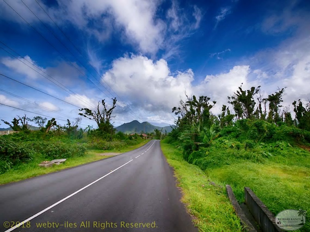 P1035020dominica-j2..jpg