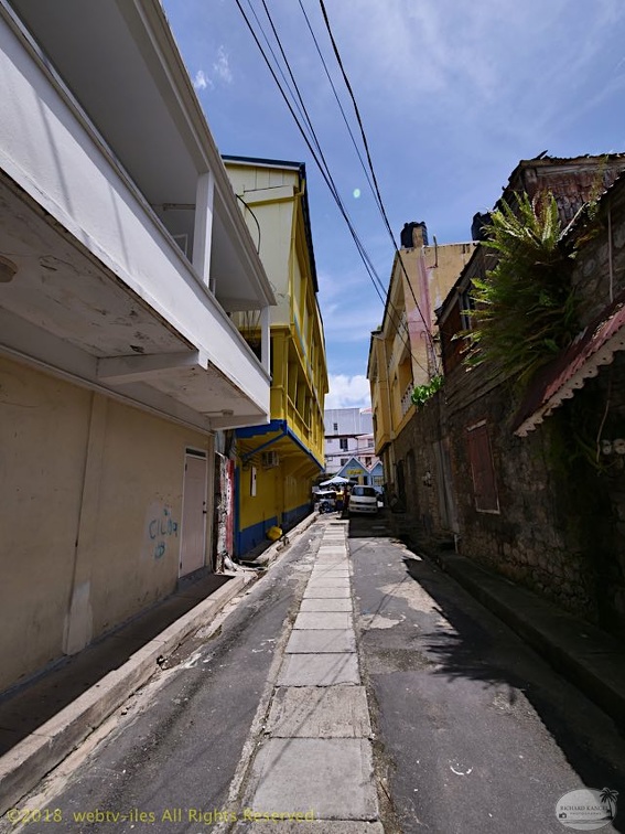 P1035028dominica-j2..jpg