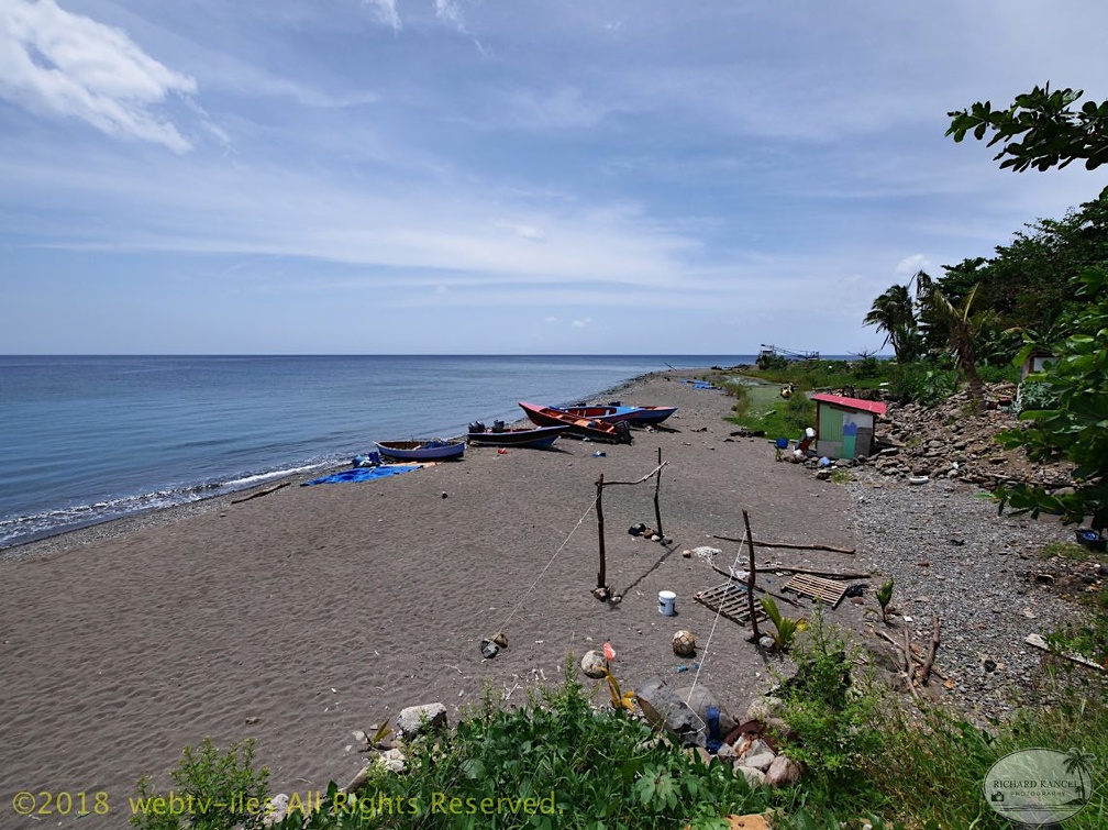 P1035061dominica-j2..jpg