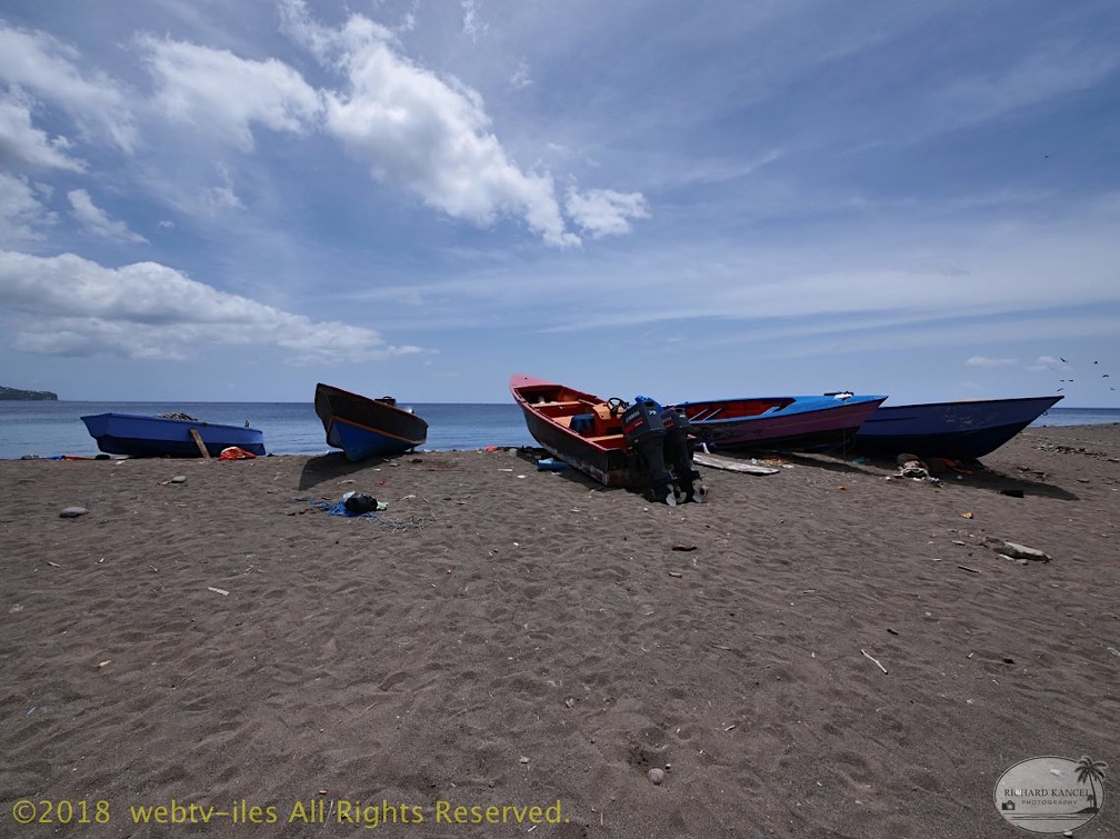 P1035063dominica-j2..jpg