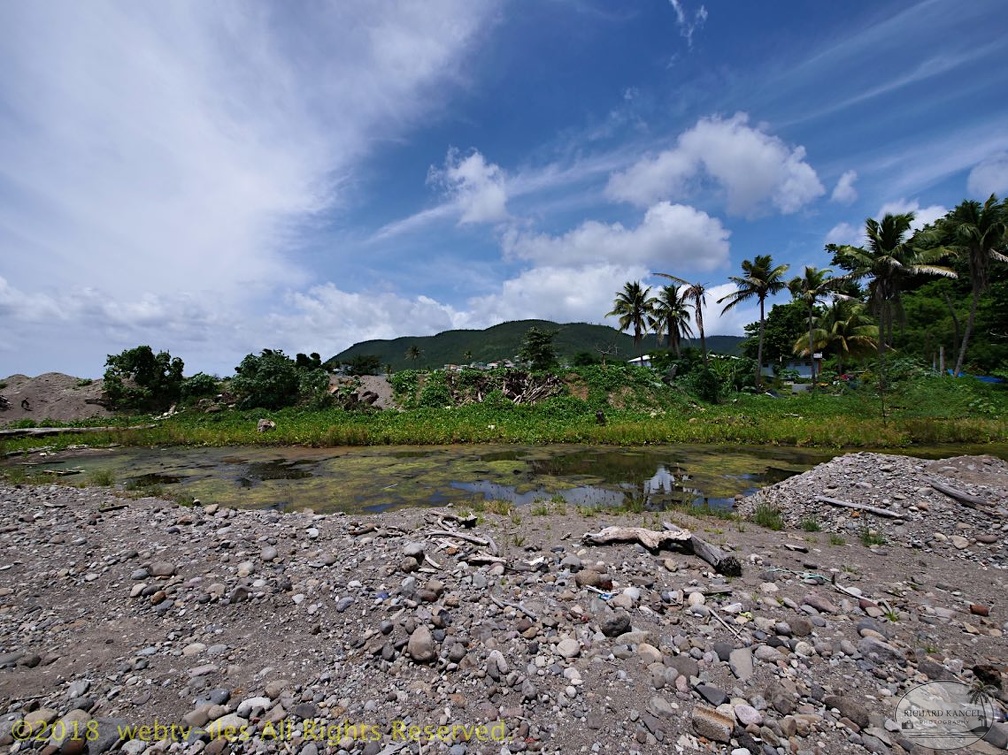 P1035068dominica-j2..jpg