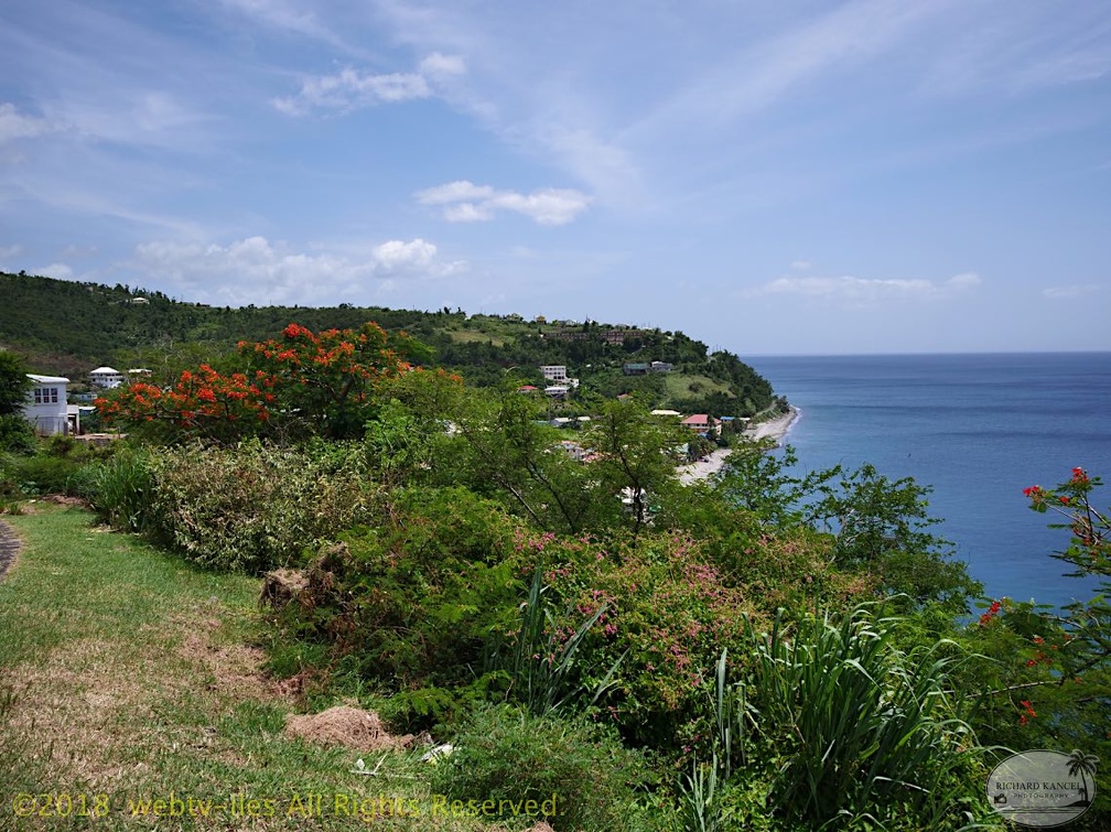 P1035081dominica-j2..jpg