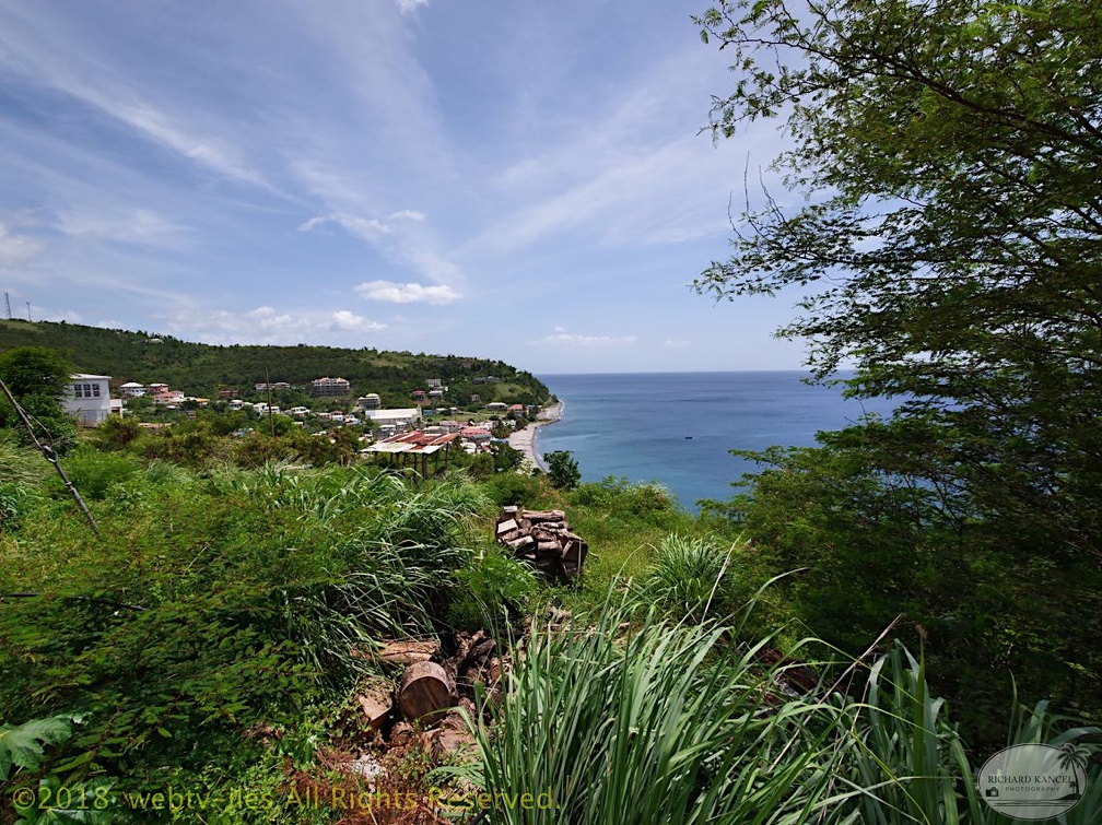 P1035084dominica-j2..jpg