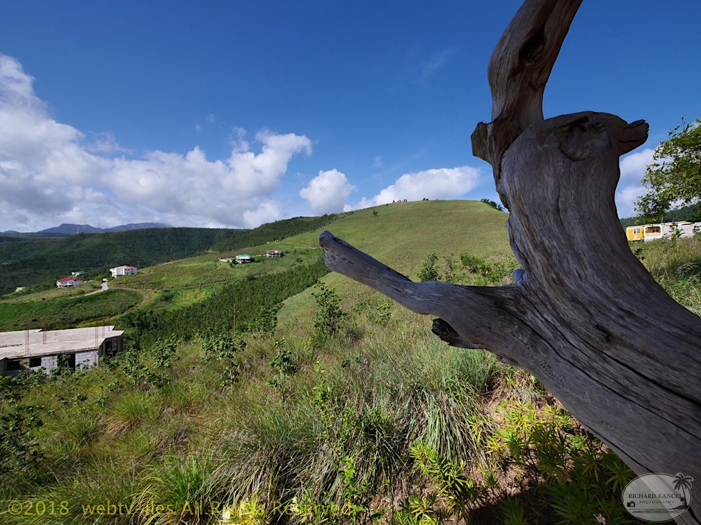 P1035092dominica-j2..jpg