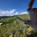 P1035092dominica-j2..jpg