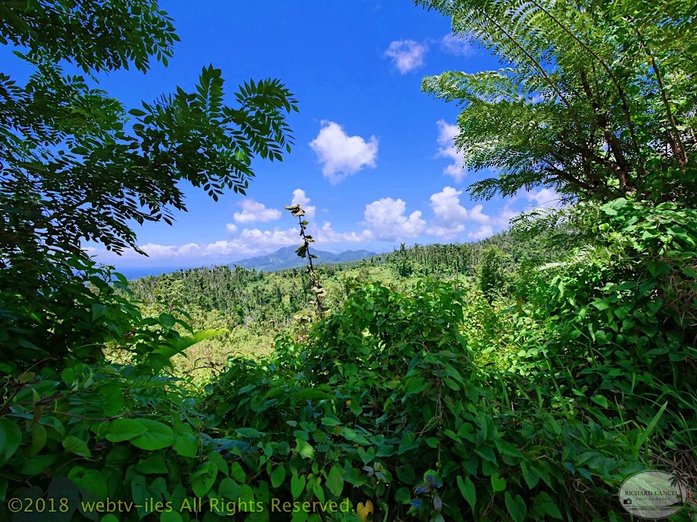 P1035141dominica-j3..jpg