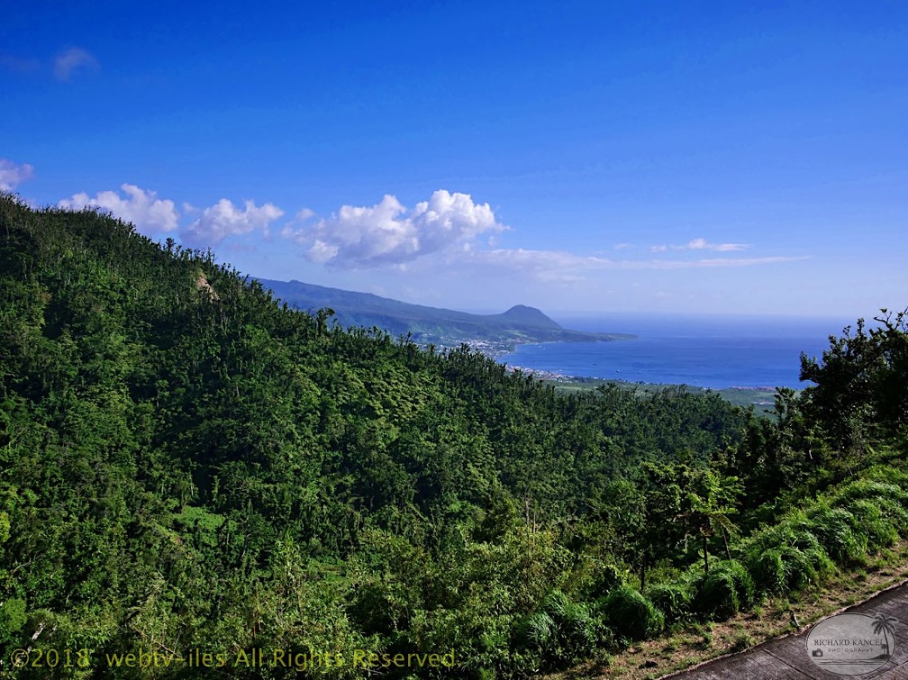 P1035150dominica-j3..jpg