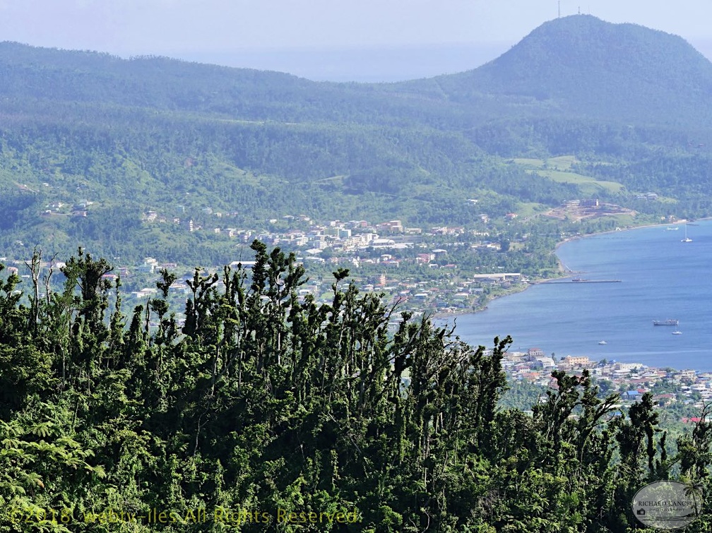 P1035151dominica-j3..jpg