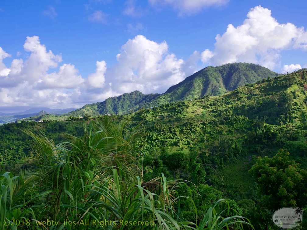 P1035160dominica-j3..jpg