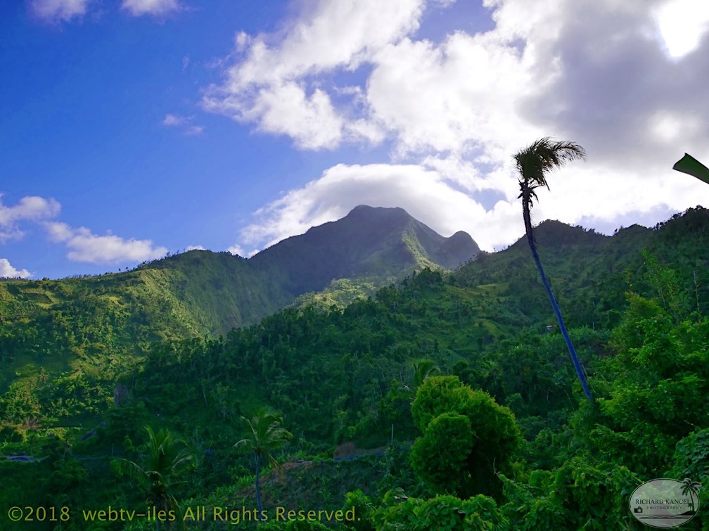 P1035161dominica-j3..jpg
