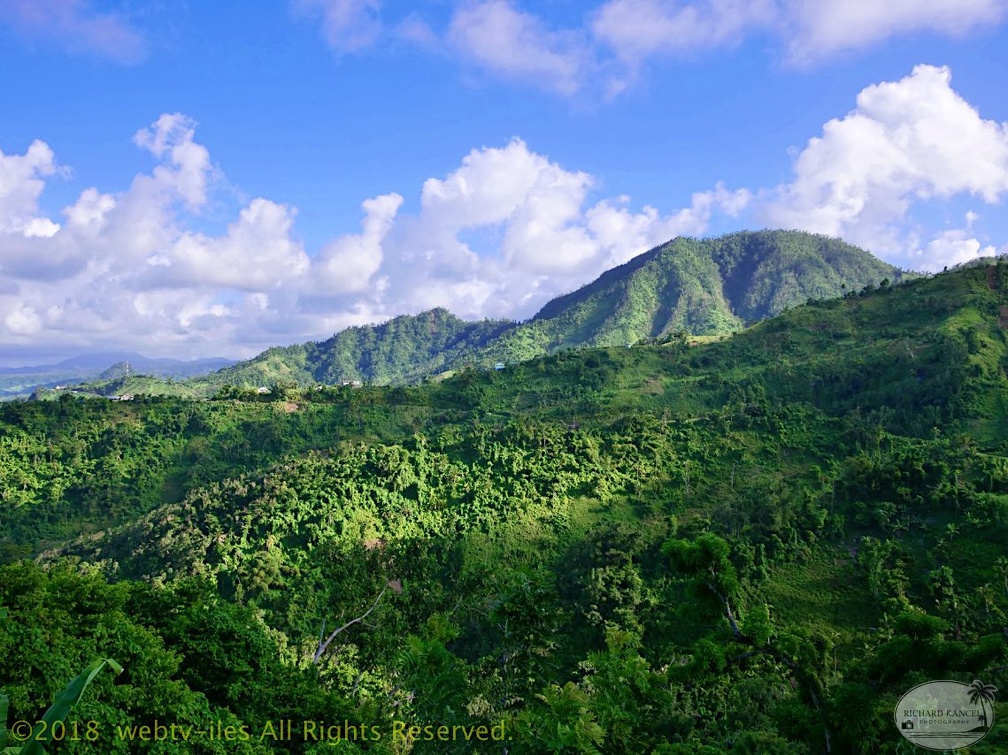 P1035162dominica-j3..jpg