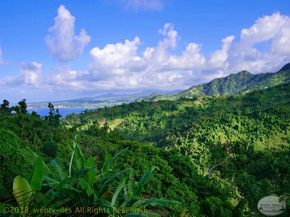 P1035164dominica-j3..jpg