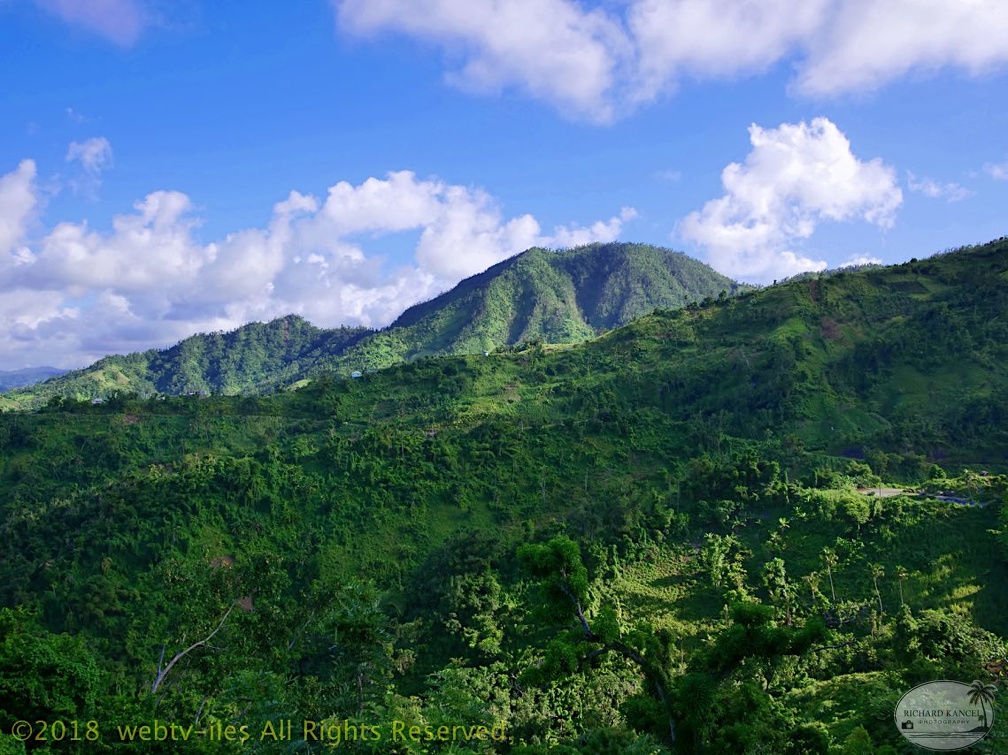 P1035166dominica-j3..jpg