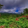 P1035171dominica-j4..jpg