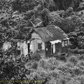 P1035176dominica-j4..jpg