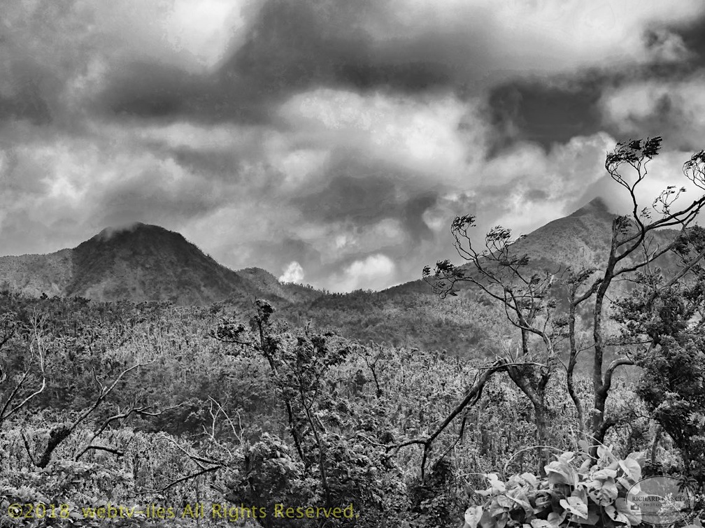 P1035195dominica-j4..jpg