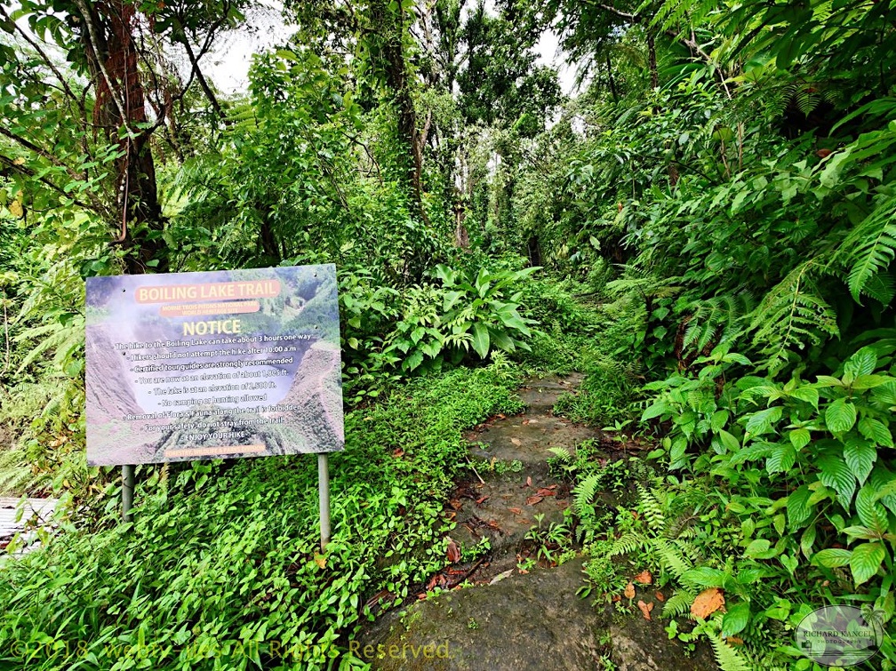 P1035217dominica-j4..jpg
