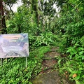 P1035217dominica-j4..jpg
