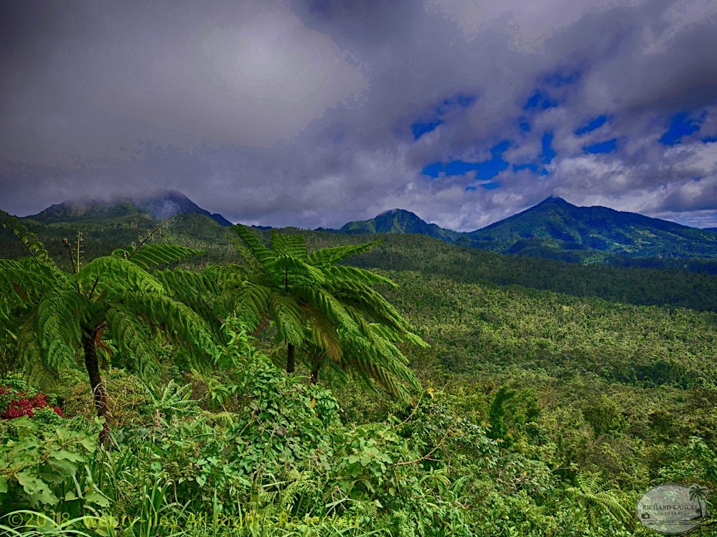 P1035224dominica-j4..jpg