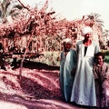egypte-68.jpg