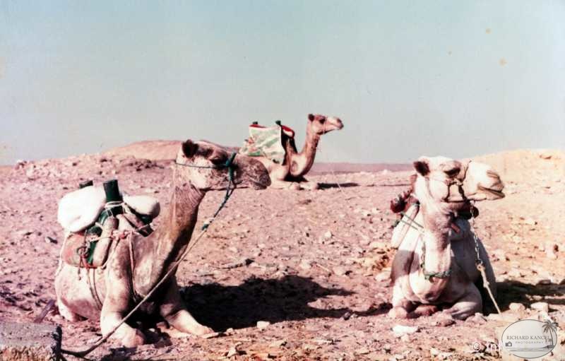 egypte-34.jpg