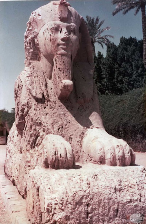 egypte-b-20.jpg