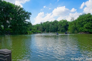 DSC04558-central-Park