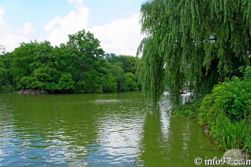 DSC04564-central-Park.jpg