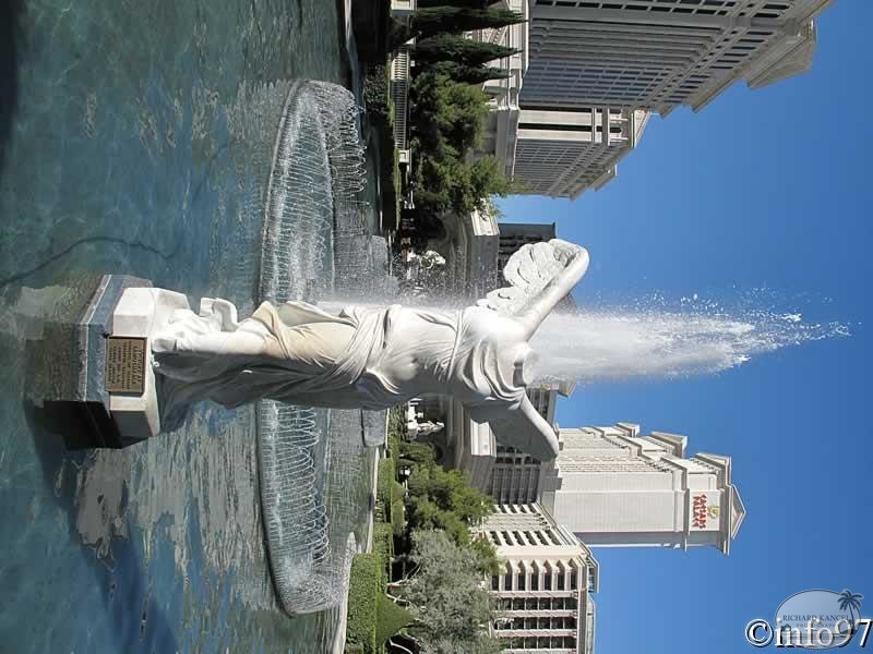 IMG_0213.jpg