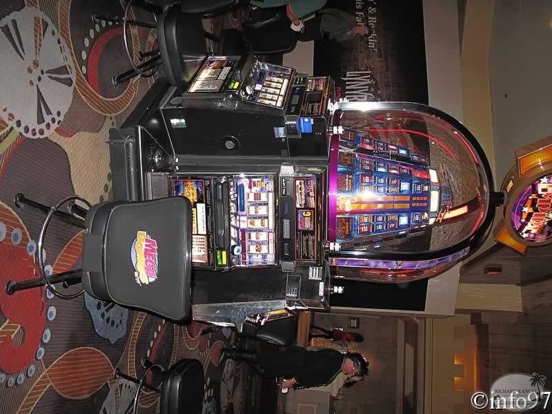 IMG_0379.jpg